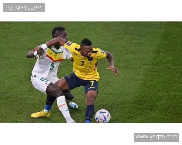 韩国与塞内加尔激战在即谁将赢得这场精彩对决